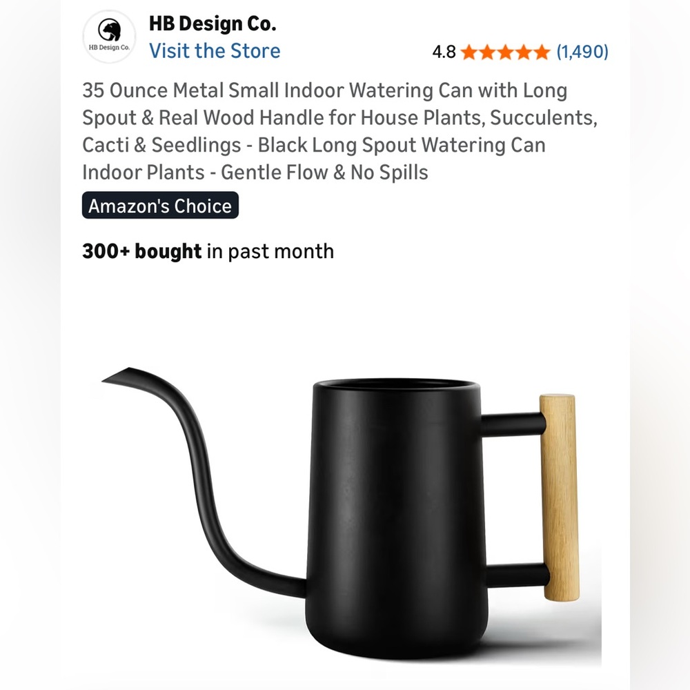 NIB HB Design Small Metal Watering Can Indoor Plants 35oz Wood Handle Black Can